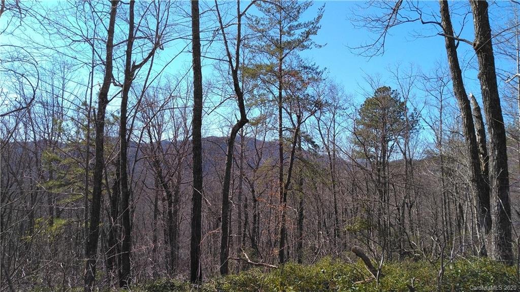 Property image 1 at Lots 28 29 30 Crooked Creek Estates, Old Fort, NC 28762