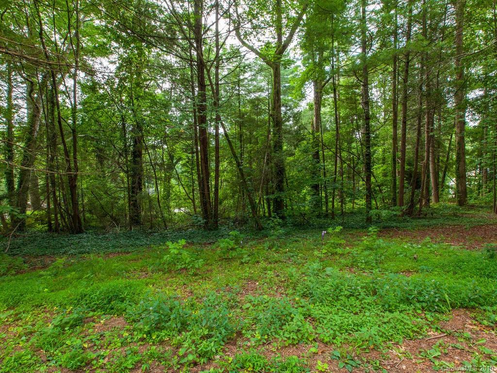 Property image 1 at 0 Drayton Circle, Flat Rock, NC 28731