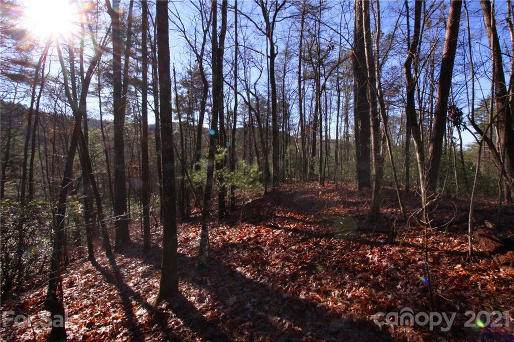 Property image 1 at Lot 27 Oconee Bell Lane, Brevard, NC 28712