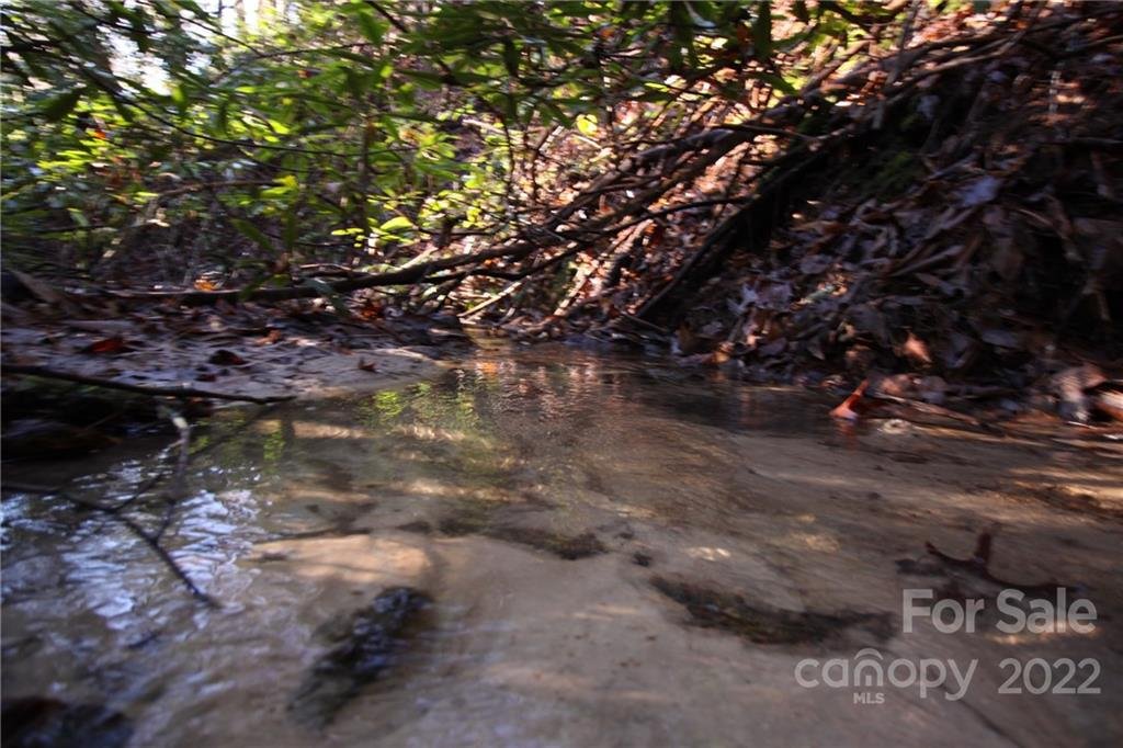 Lot 19 Gastons Bee Gum Road