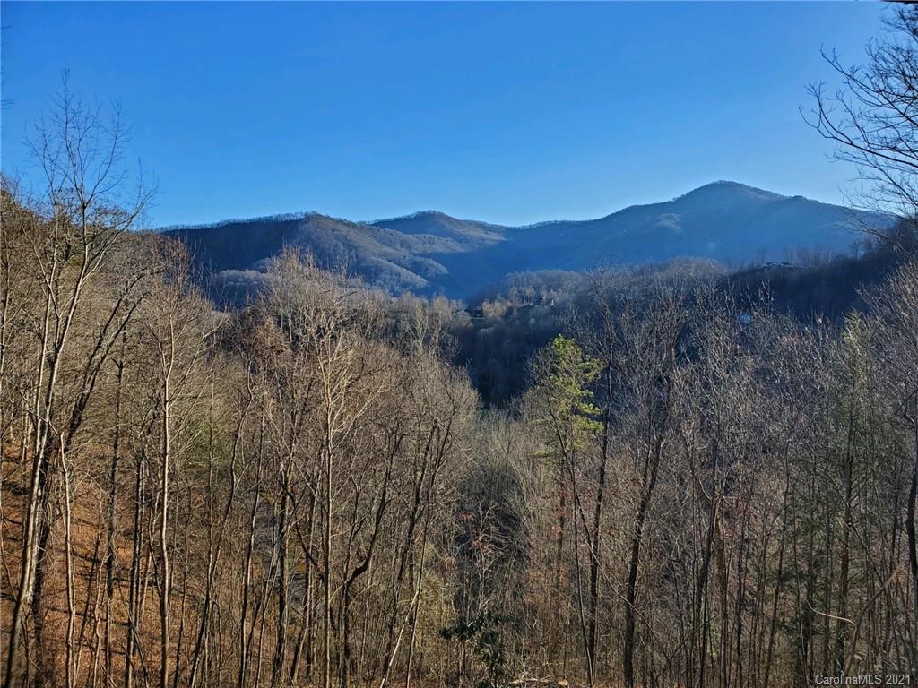 Property image 1 at 14 Junebug Trail, Waynesville, NC 28785