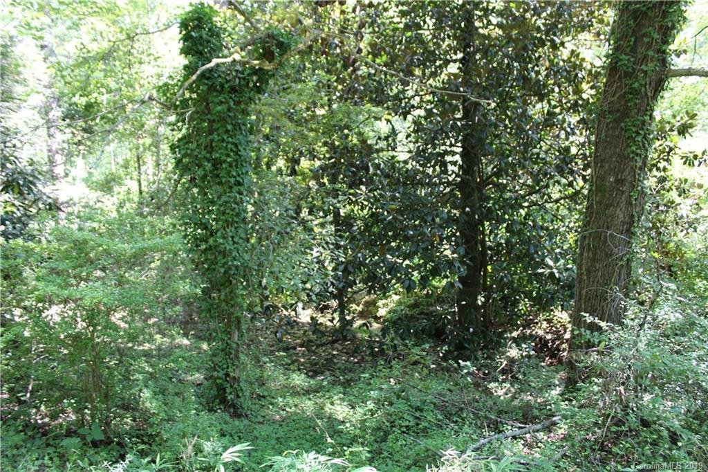 Property image 1 at 1100 Bishop Lane, Mill Spring, NC 28773