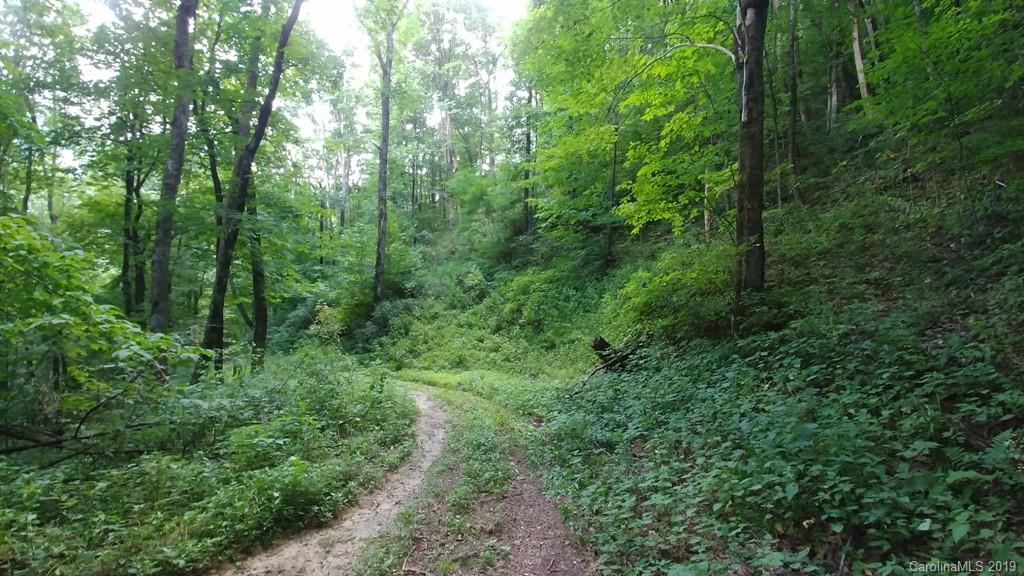 Property image 1 at 47 Foxfire Drive, Maggie Valley, NC 28751