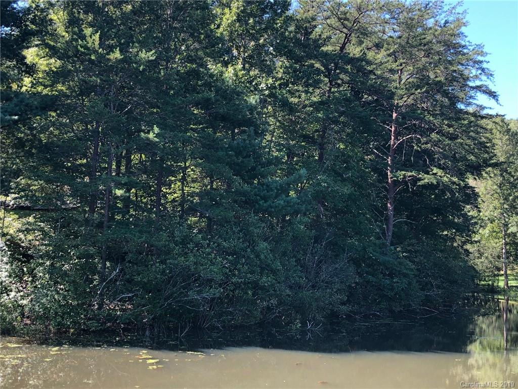 Property image 1 at 00 Raleigh Drive, Lake Lure, NC 28746