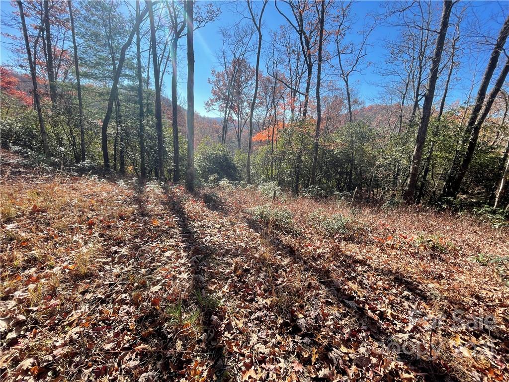Property image 1 at Lot 132 Green Hollow Lane, Brevard, NC 28712