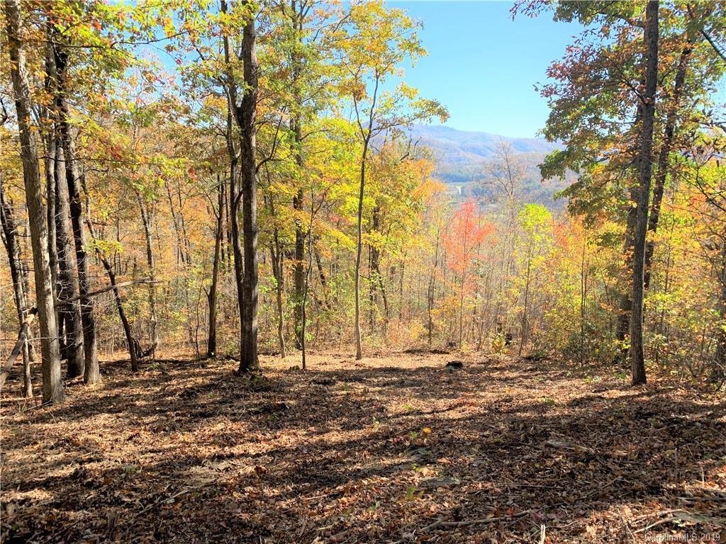 Property image 1 at 000 Laurel Creek Drive, Hendersonville, NC 28792