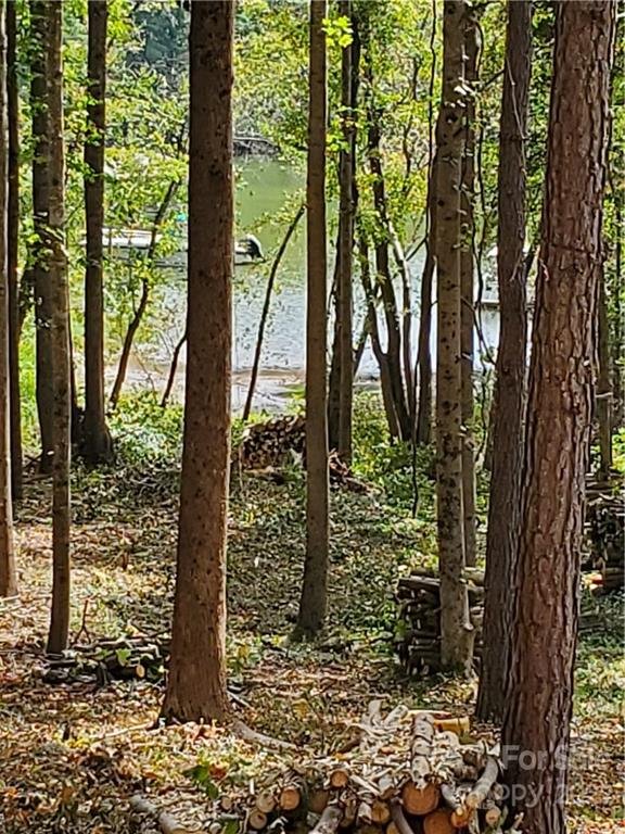 Property image 1 at 4812 Rio De Luna Street, Hickory, NC 28601