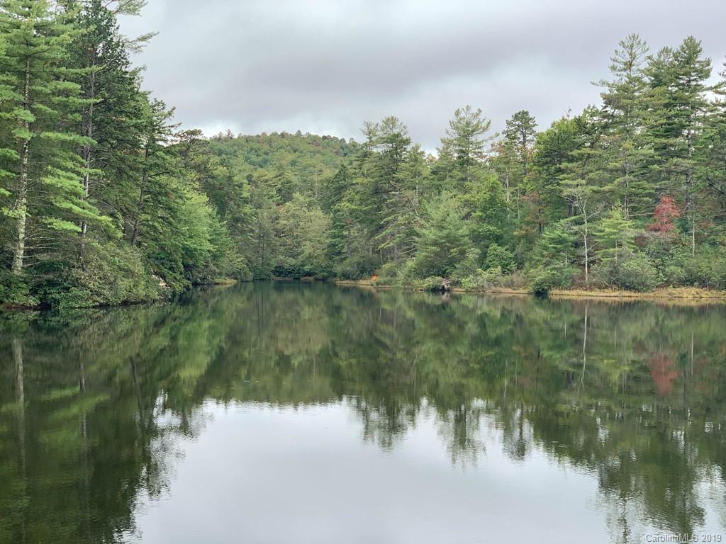 Property image 1 at Tbd Stoneway Drive, Cedar Mountain, NC 28718