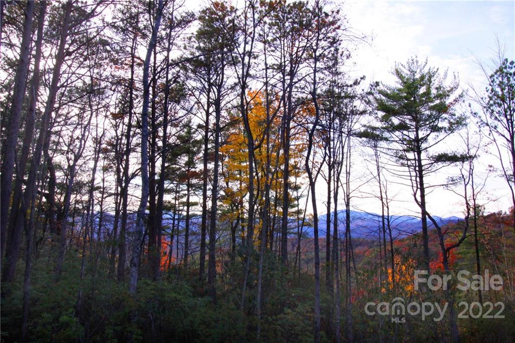 Tract 2 Bear Pen Hollow Road