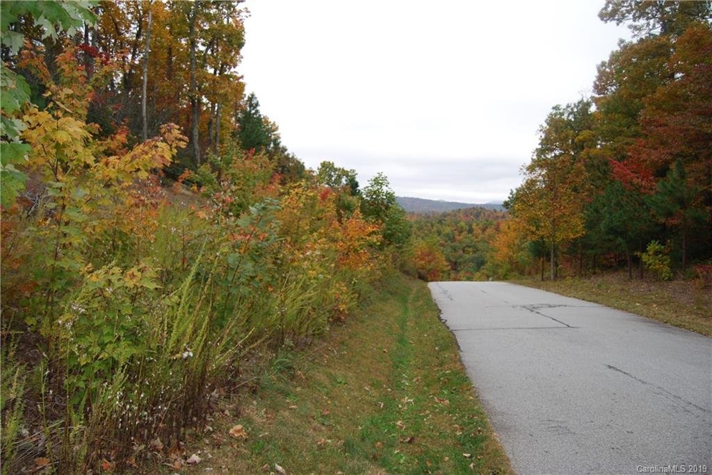 Property image 1 at Lot 193 Catawba Falls Parkway, Old Fort, NC 28762