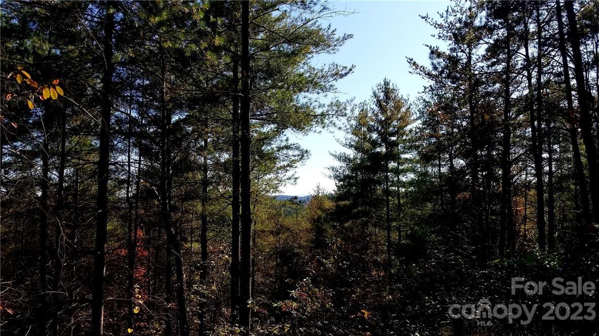 Property image 1 at Lot 92 Basile Place, Collettsville, NC 28611