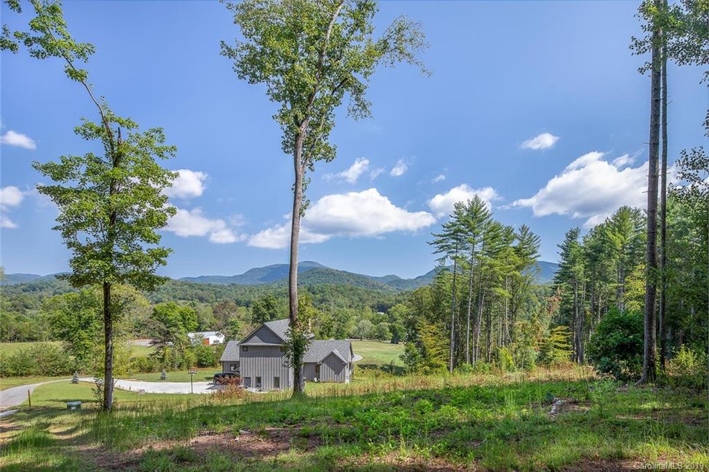 Property image 1 at 148 Olivia Trace Drive, Fletcher, NC 28732