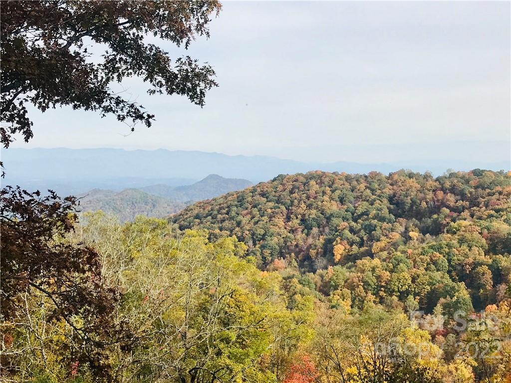 Property image 1 at 99999 Freemont Drive, Leicester, NC 28748