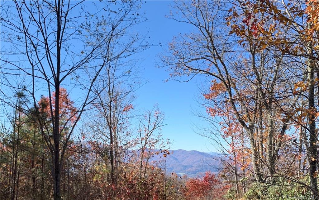 Property image 1 at 00 Sparkling Falls Road, Whittier, NC 28719