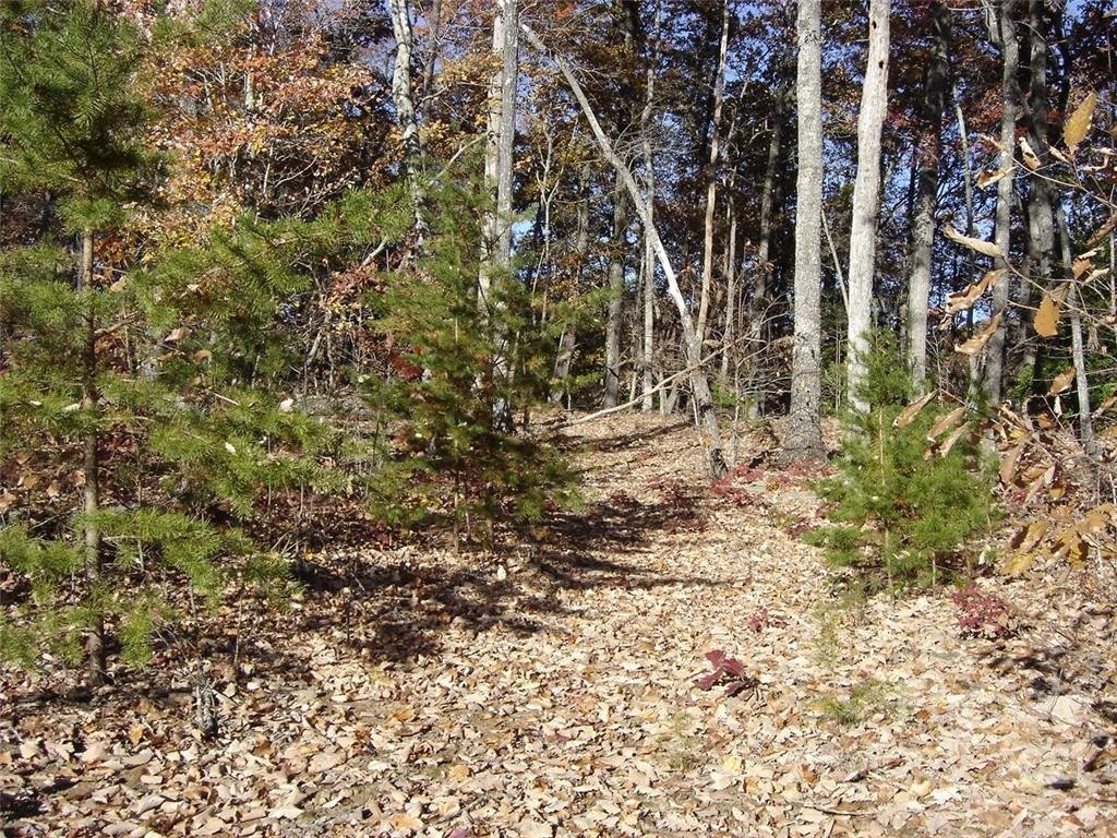 Property image 1 at 256 Mountain Springs Drive, Bostic, NC 28018