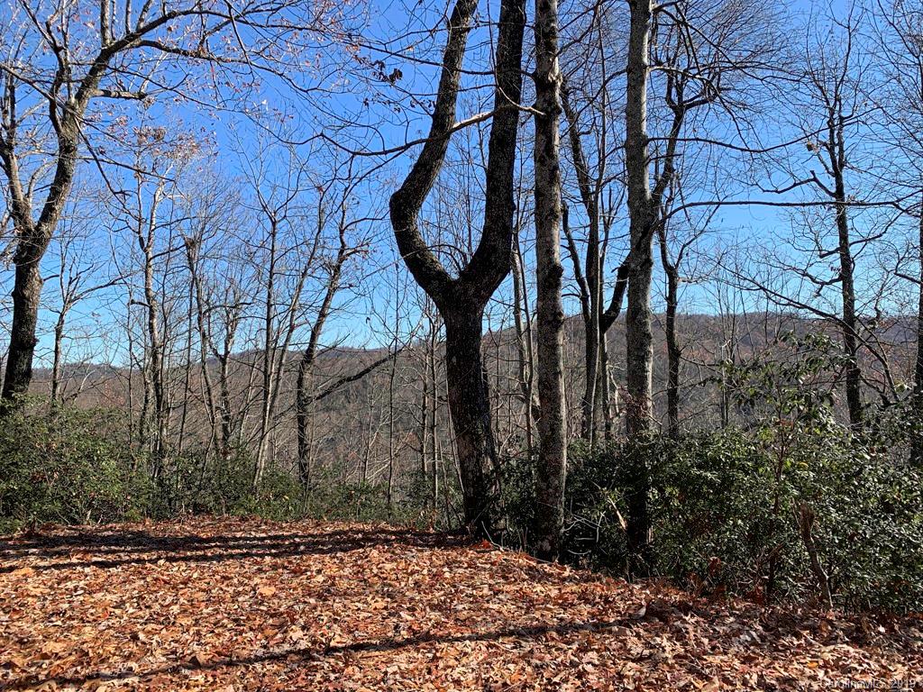 Property image 1 at Lot 34 Wood Fern Lane, Rosman, NC 28772
