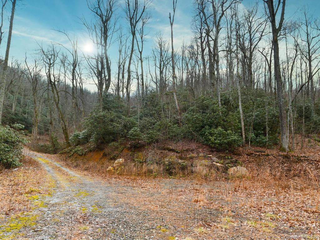 Property image 1 at Tbd Pheasant Hollow Drive, Black Mountain, NC 28711