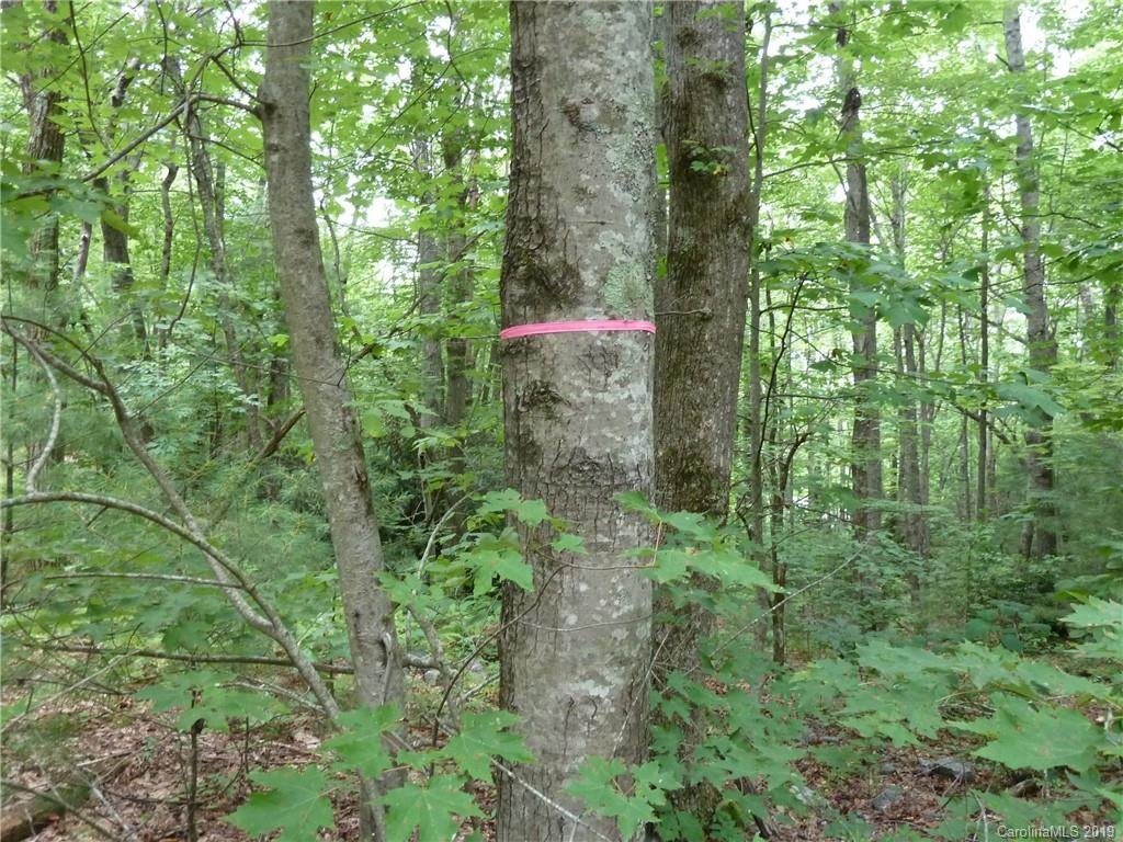 Property image 1 at 2 N Pointe Drive, Zirconia, NC 28790