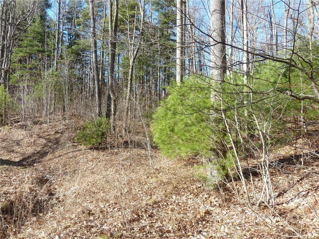 Property image 1 at 5 30 N Pointe Drive, Zirconia, NC 28790