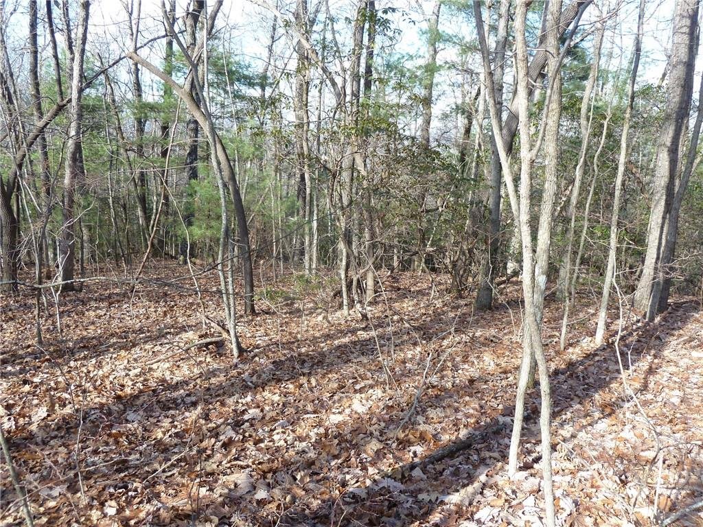 Property image 1 at 51 N Pointe Drive, Zirconia, NC 28790