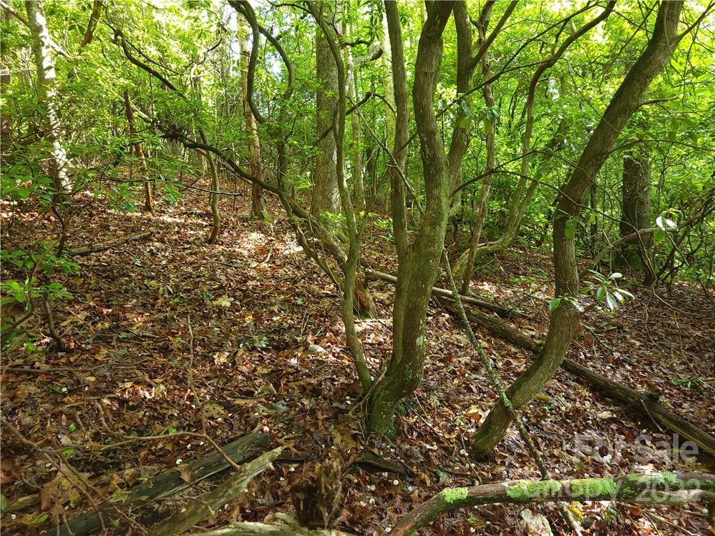 L302 Lynn Crest Drive