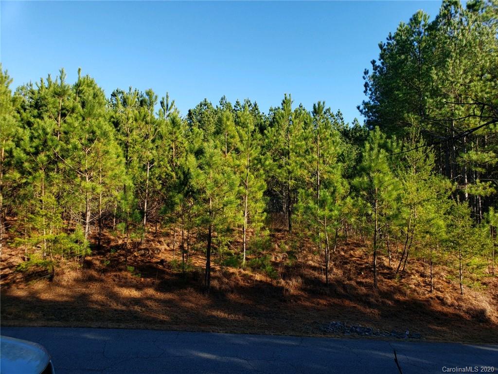 Property image 1 at 0 Ashley Court, Mill Spring, NC 28756