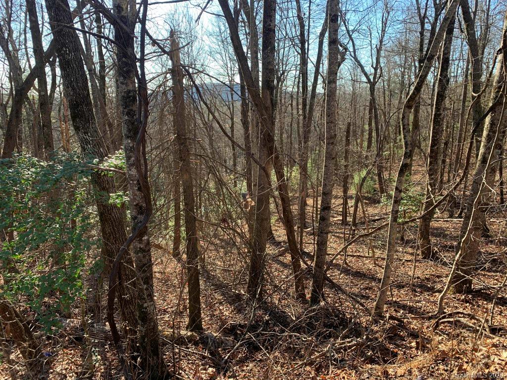 Property image 1 at Lot 14 Liz Reece Road, Rosman, NC 28772