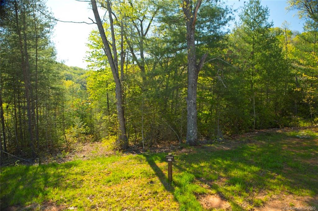 Property image 1 at 46 River Club Drive, Cullowhee, NC 28723