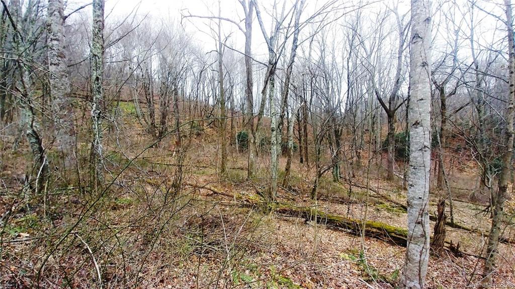 Property image 1 at 9 10 Split Pine Cove, Clyde, NC 28721