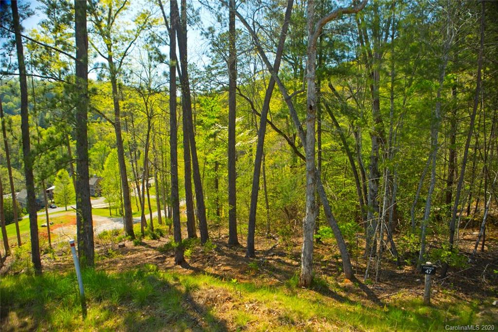 Property image 1 at 47 River Club Drive, Cullowhee, NC 28723