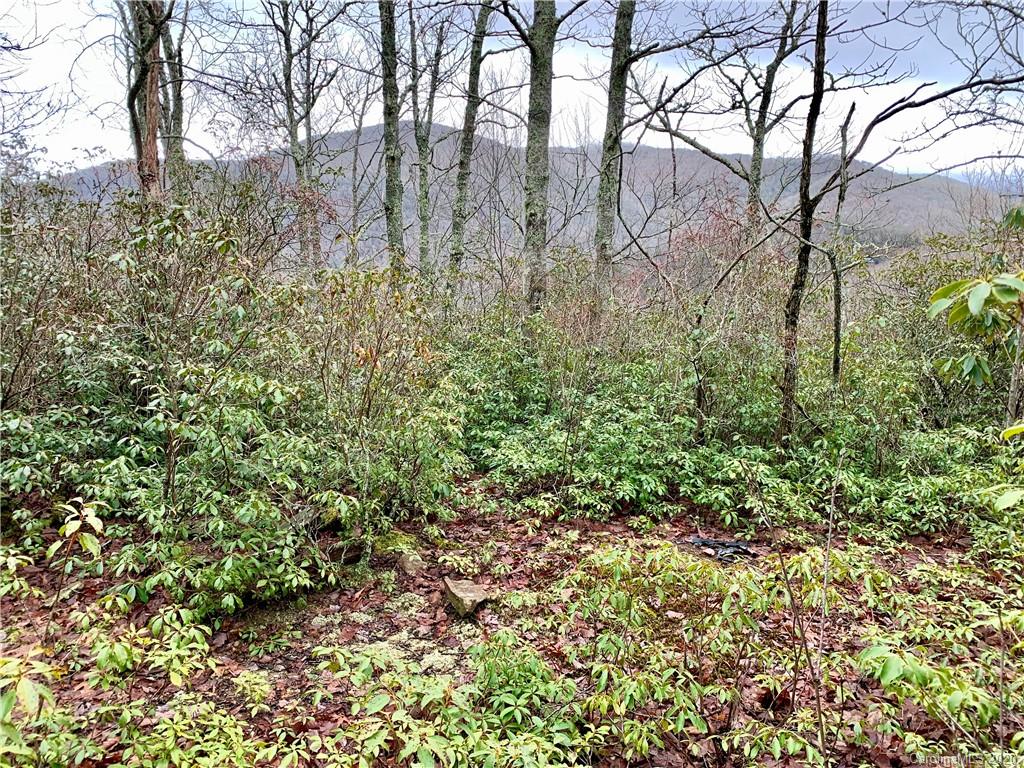 Property image 1 at 00 Autumn Drive, Maggie Valley, NC 28751