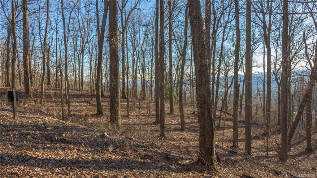 Property image 1 at 99999 Old Forest Drive, Asheville, NC 28803