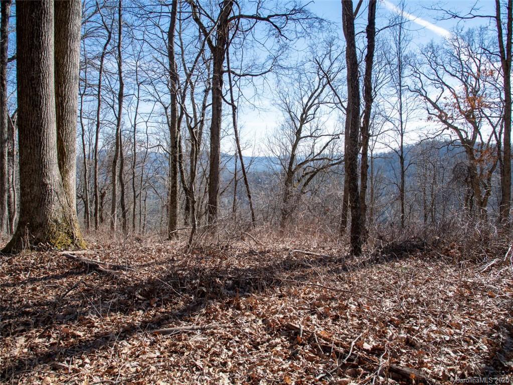 Property image 1 at 99999 Old Forest Drive, Asheville, NC 28803