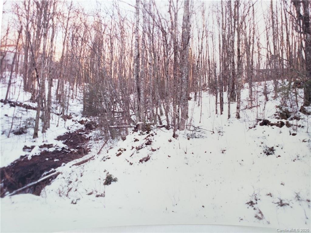 Property image 1 at 118 Greenbrair Road, Beech Mountain, NC 28604