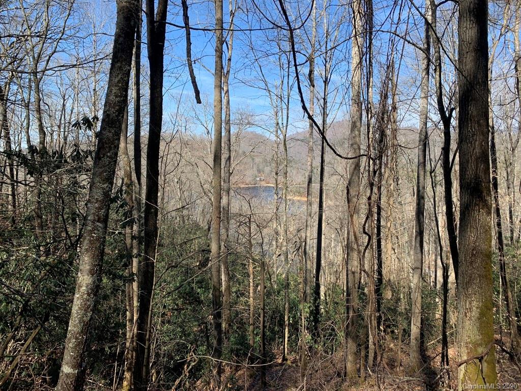 Property image 1 at Lt2 Vess Owen Road, Tuckasegee, NC 28783