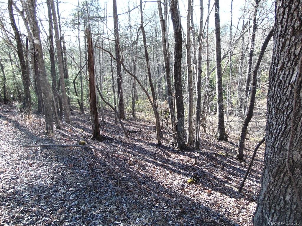 Property image 1 at 46 Piney Gate Road, Saluda, NC 28773