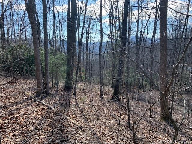 Property image 1 at 0000 Clovercrest Drive, Hendersonville, NC 28792