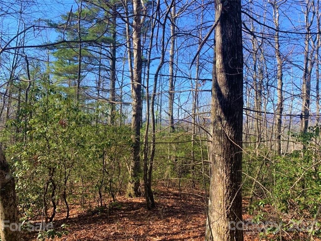 Property image 1 at Tbd Fox Lane, Brevard, NC 28712