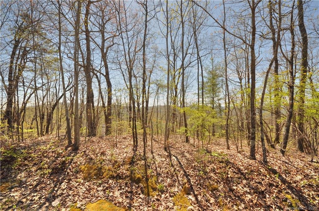 Property image 1 at 888 Previously 918 Overlook Park Drive, Hendersonville, NC 28792