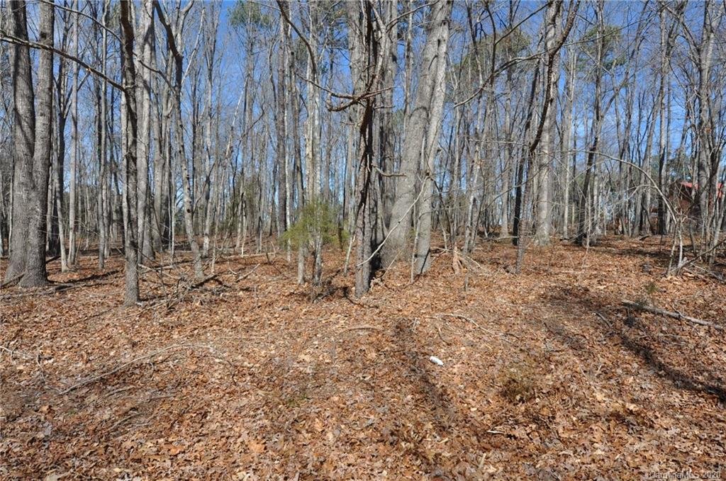 Property image 1 at 0 Redwood Lane, Chester, SC 29706