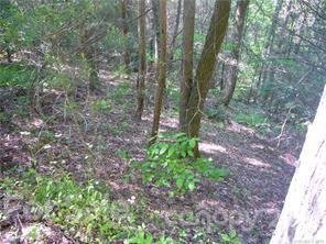 Property image 1 at 772 Rich Mountain Road, Flat Rock, NC 28731