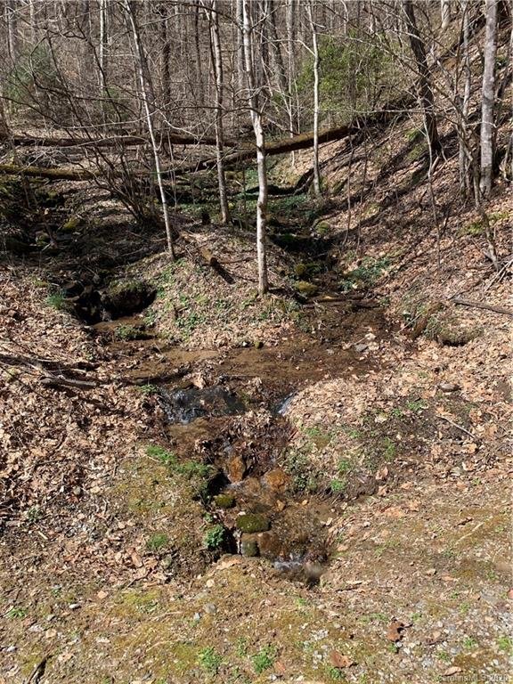 Property image 1 at 00000 Friar Tuck Lane, Maggie Valley, NC 28751