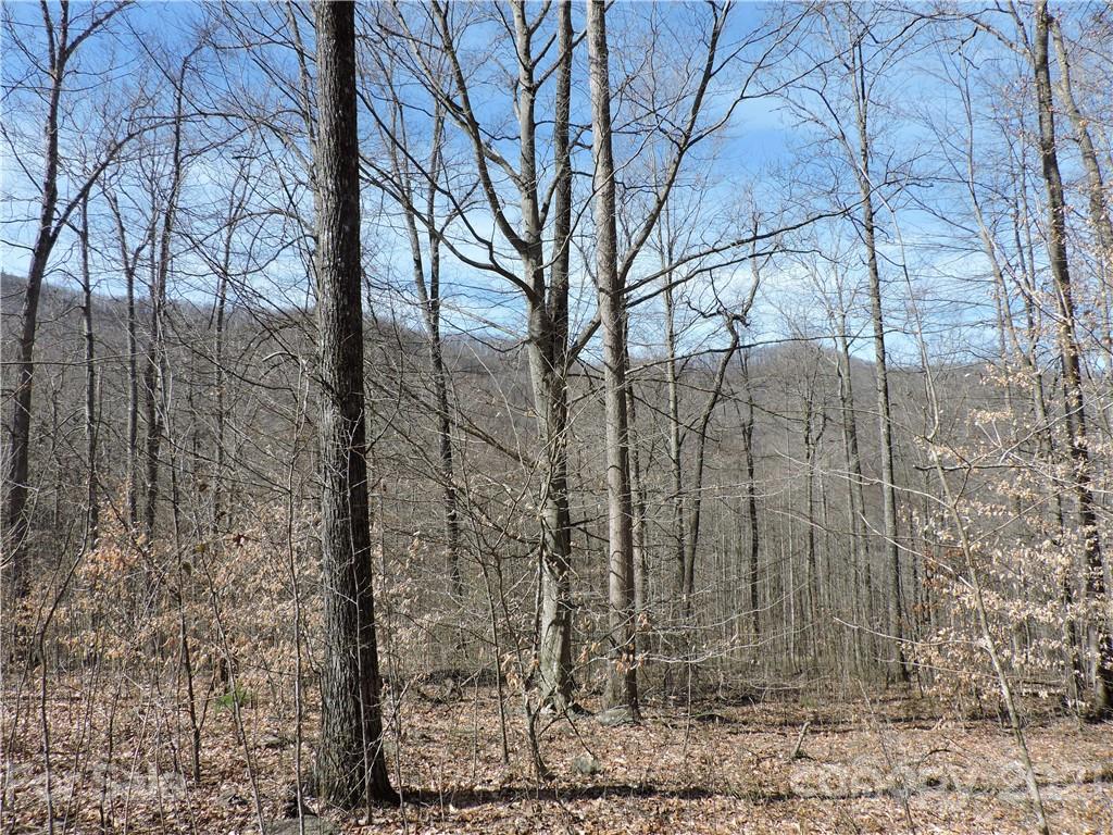 Property image 1 at 0 Sleepy Oak Lane, Spruce Pine, NC 28777