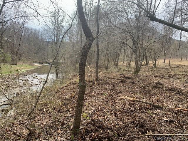 Property image 1 at 0000 Reedy Run None, Hendersonville, NC 28792