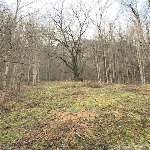 Property image 1 at 000 Cisco Cove, Waynesville, NC 28785