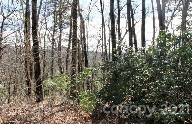 Property image 1 at Tbd East View Road, Brevard, NC 28712