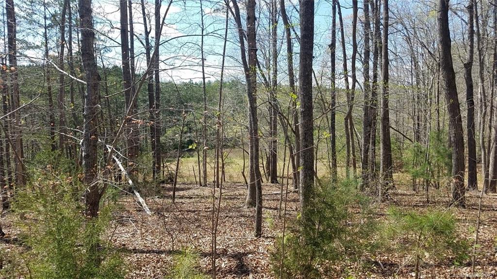 Property image 1 at 207 Stow A Way Drive, Nebo, NC 28761