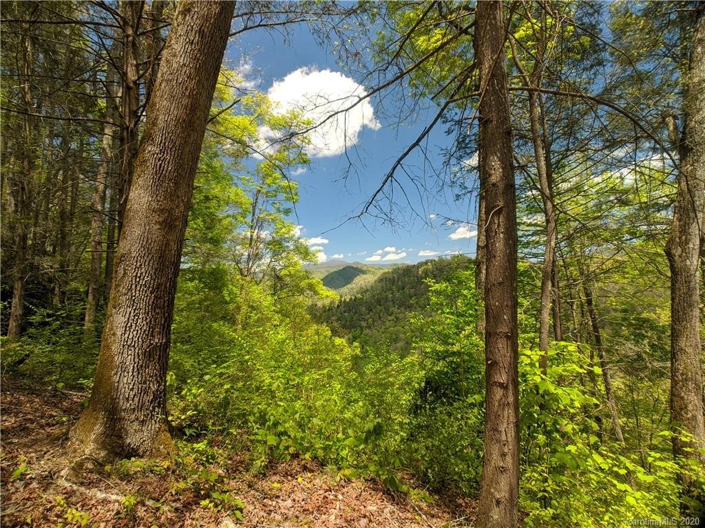 Property image 1 at Lot 90 Bear River Lodge Trail, Marshall, NC 28753