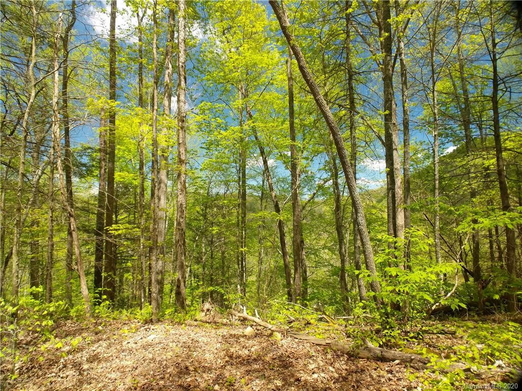 Property image 1 at Lot 91 Bear River Lodge Trail, Marshall, NC 28753