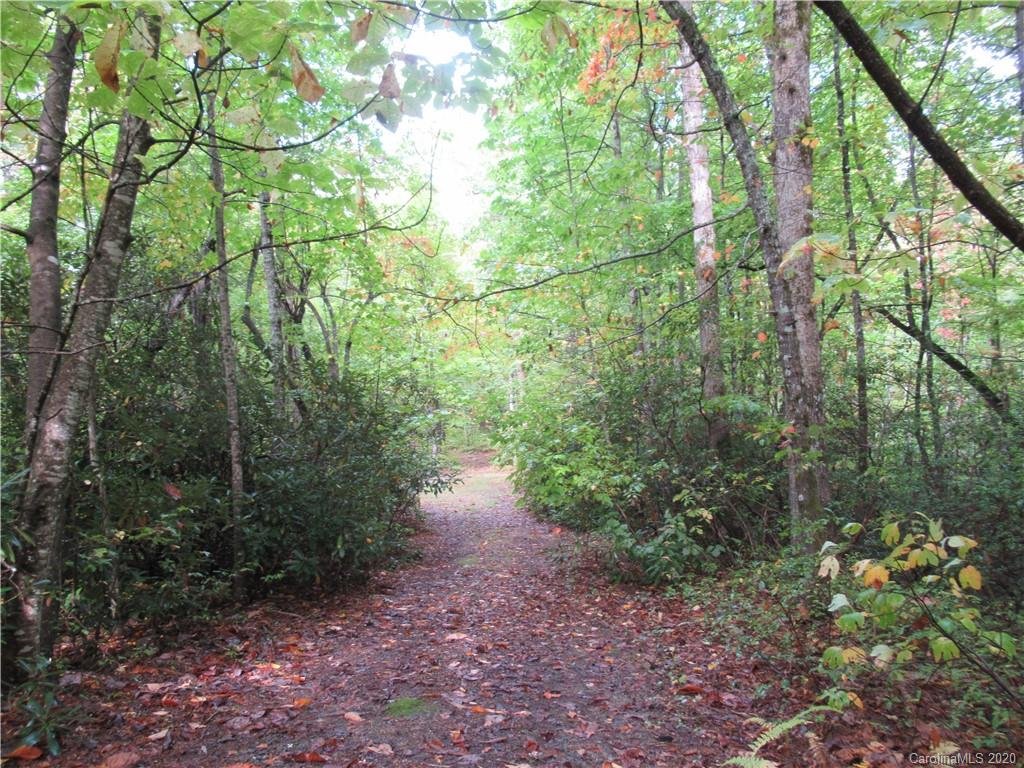 Property image 1 at Off Ben Nevis Road, Brevard, NC 28712